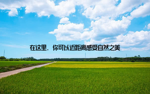 在这里, 你可以近距离感受自然之美