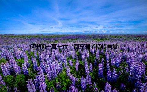 这里的一草一木, 都充满了诗情画意