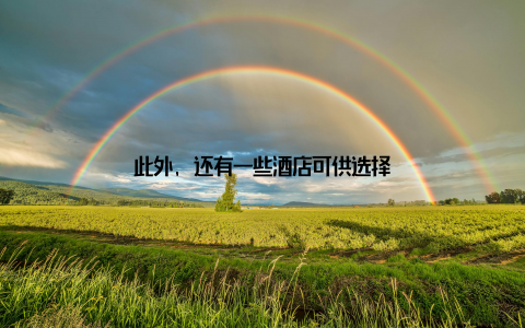 此外, 还有一些酒店可供选择