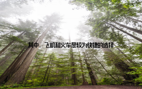 其中, 飞机和火车是较为快捷的选择