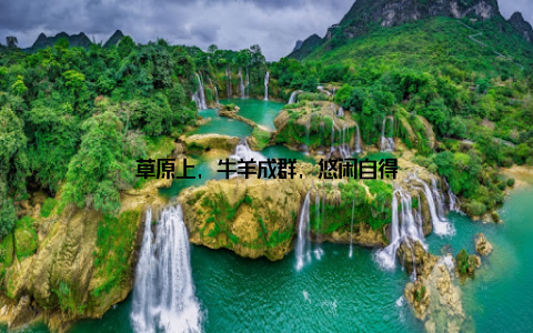 草原上, 牛羊成群, 悠闲自得