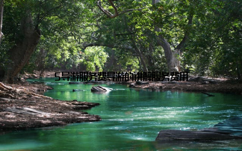 5导游服务费导游的讲解服务费用