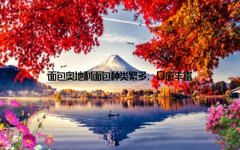 面包奥地利面包种类繁多, 口感丰富