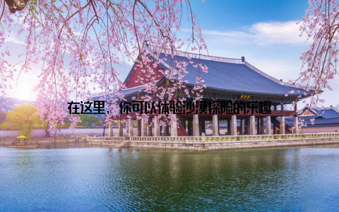 在这里, 你可以体验沙漠探险的乐趣