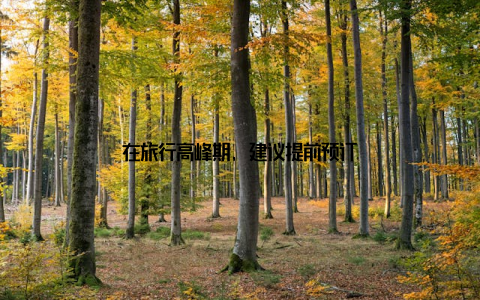 在旅行高峰期, 建议提前预订