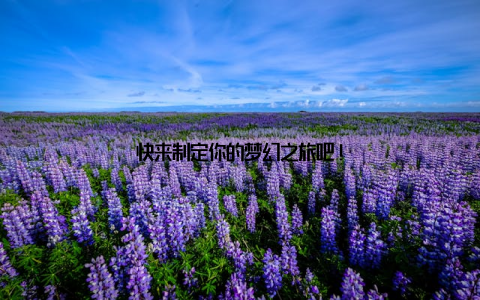 快来制定你的梦幻之旅吧!