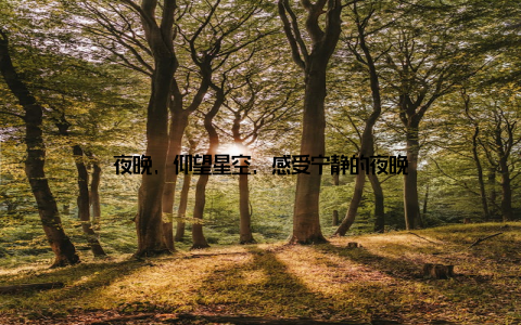 夜晚, 仰望星空, 感受宁静的夜晚