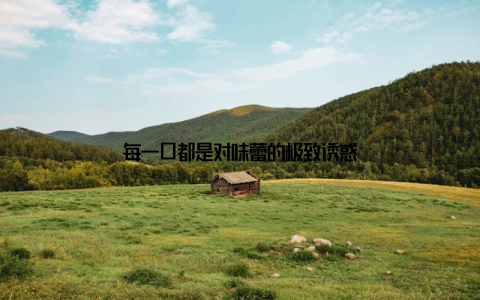 每一口都是对味蕾的极致诱惑