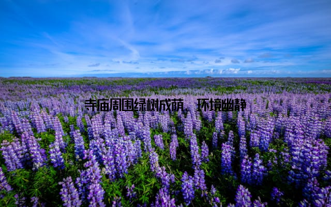 寺庙周围绿树成荫, 环境幽静