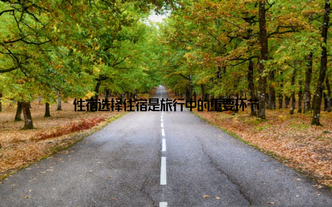 住宿选择住宿是旅行中的重要环节