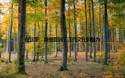 在这里, 我感受到了汉代文化的魅力