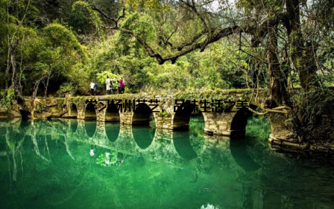 学习扬州茶艺, 品味生活之美