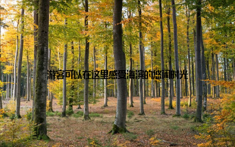 游客可以在这里感受海滨的悠闲时光