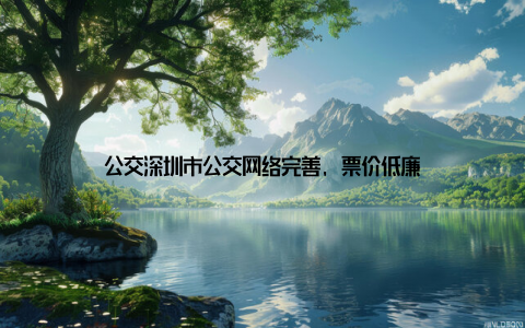 公交深圳市公交网络完善, 票价低廉