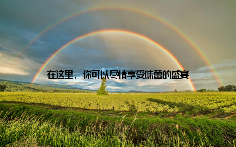 在这里, 你可以尽情享受味蕾的盛宴