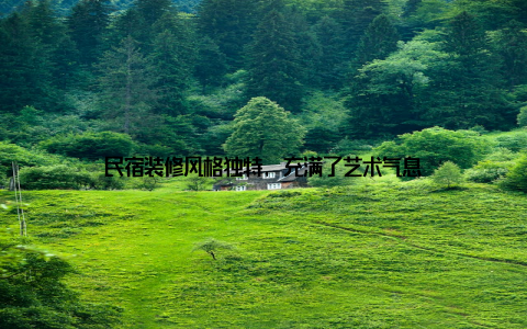 民宿装修风格独特, 充满了艺术气息