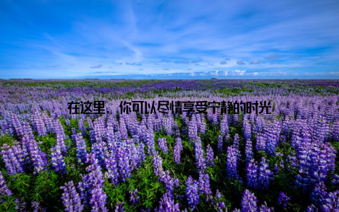 在这里, 你可以尽情享受宁静的时光