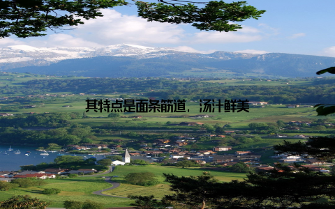 其特点是面条筋道, 汤汁鲜美