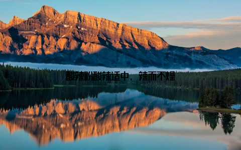 酸辣粉酸辣适中, 辣而不燥