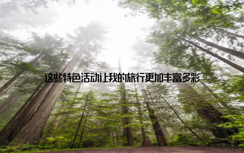 这些特色活动让我的旅行更加丰富多彩