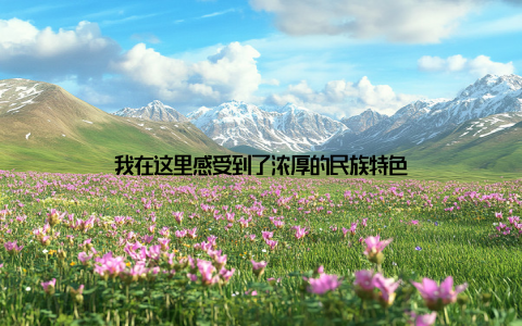 我在这里感受到了浓厚的民族特色