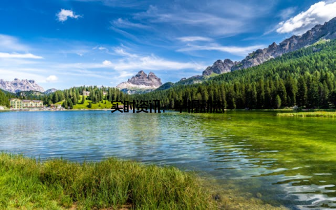 实时资讯, 掌握动态